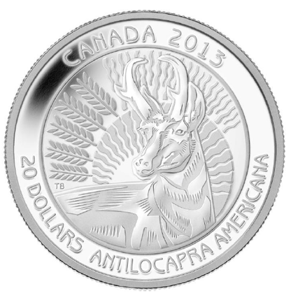 2013 1oz $20 PRONGHORN - UNTAMED WILDERNESS - FINE SILVER COIN