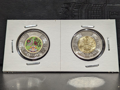 CELEBRATE INDIGENOUS PEOPLES DAY TOONIE 2 PACK
