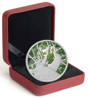 2013 1oz $20 CANADIAN MAPLE CANOPY: SPRING FINE SILVER COIN