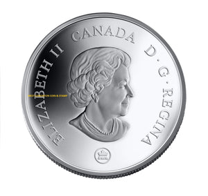 2007 1oz STERLING SILVER COIN - PANORAMIC CAMERA - NIAGARA FALLS