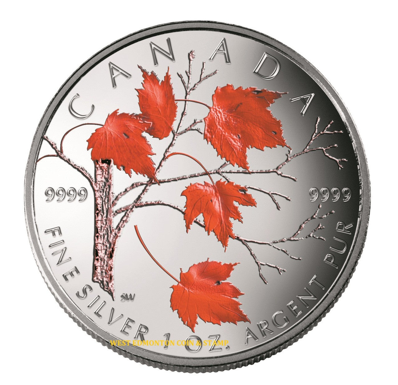 SALE - 2004 1oz $5 SILVER MAPLE LEAF COLOURED COIN (NO SLEEVE)
