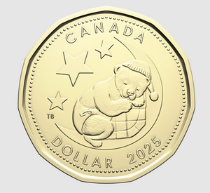2025 BORN IN 5-COIN GIFT SET