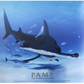 2020 1oz $2 PURE SILVER COIN - GREAT HAMMERHEAD SHARK