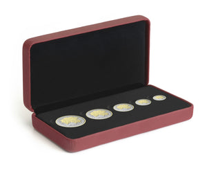 2014 FINE SILVER MAPLE LEAF FRACTIONAL 5-COIN SET - GOLD PLATED