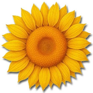 10oz SUNFLOWER COPPER ROUNDS