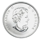 2013 25-CENT COLOURED COIN - BARN OWL