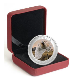 2013 25-CENT COLOURED COIN - BARN OWL