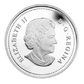 2013 1oz $20 CANADIAN MAPLE CANOPY (AUTUMN) FINE SILVER COIN