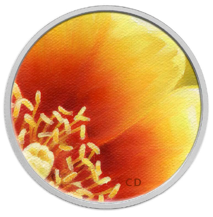 2013 25-CENT COLOURED COIN-MAGNIFIED BEAUTY: THE EASTERN PRICKLY PEAR CACTUS