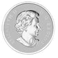 SALE - 2012 1/2oz $10 MAPLE LEAF FOREVER FINE SILVER COIN  (NO BEAUTY BOX)