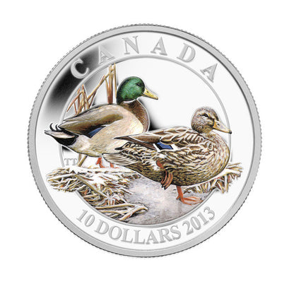 2013 $10 DUCKS OF CANADA - MALLARD - FINE SILVER COLOURED COIN