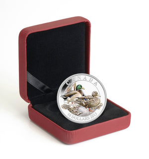 2013 $10 DUCKS OF CANADA - MALLARD - FINE SILVER COLOURED COIN