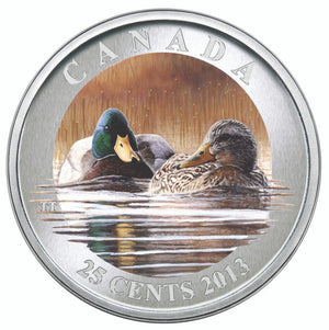 2013 25-CENT COLOURED COIN DUCKS OF CANADA - MALLARD