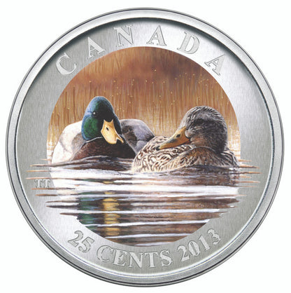 2013 25-CENT COLOURED COIN DUCKS OF CANADA - MALLARD