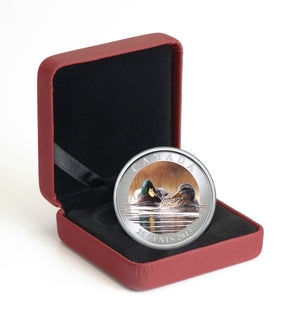 2013 25-CENT COLOURED COIN DUCKS OF CANADA - MALLARD