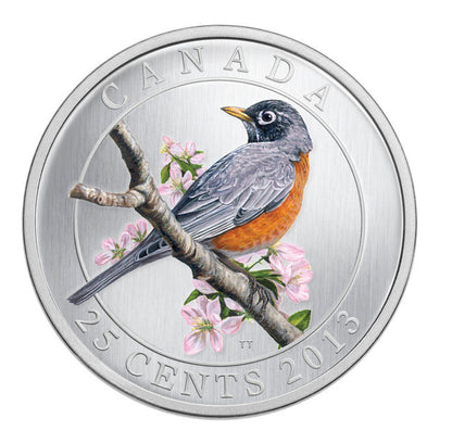 2013 25-CENT COLOURED COIN - AMERICAN ROBIN
