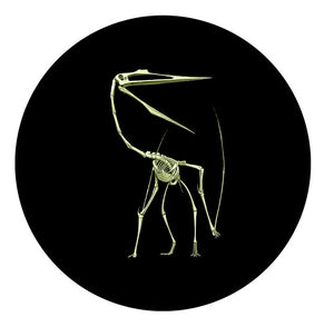 2013 25-CENT GLOW IN THE DARK COLOURED COIN - PREHISTORIC ANIMALS - QUETZALCOATLUS DINOSAUR