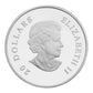 2011 1oz $20 - SMALL CRYSTAL SNOWFLAKE - MONTANA - FINE SILVER COIN