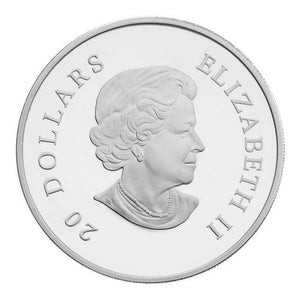 2011 1oz $20 - CRYSTAL SNOWFLAKE - TOPAZ - FINE SILVER COIN