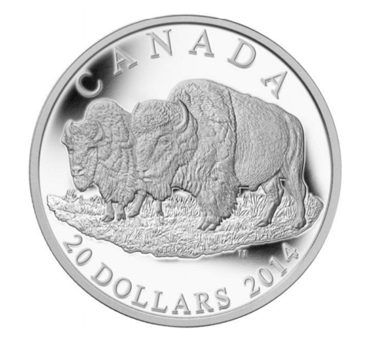 2014 1oz $20 THE BISON: THE BULL AND HIS MATE FINE SILVER COIN