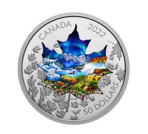 2022 3oz $50 CANADIAN COLLAGE FINE SILVER COIN