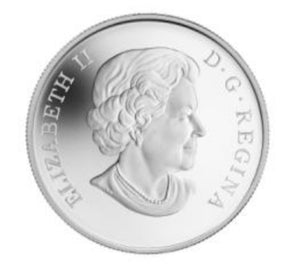 2014 1/2oz $10 NORTHERN PINTAIL (DUCK) FINE SILVER COIN