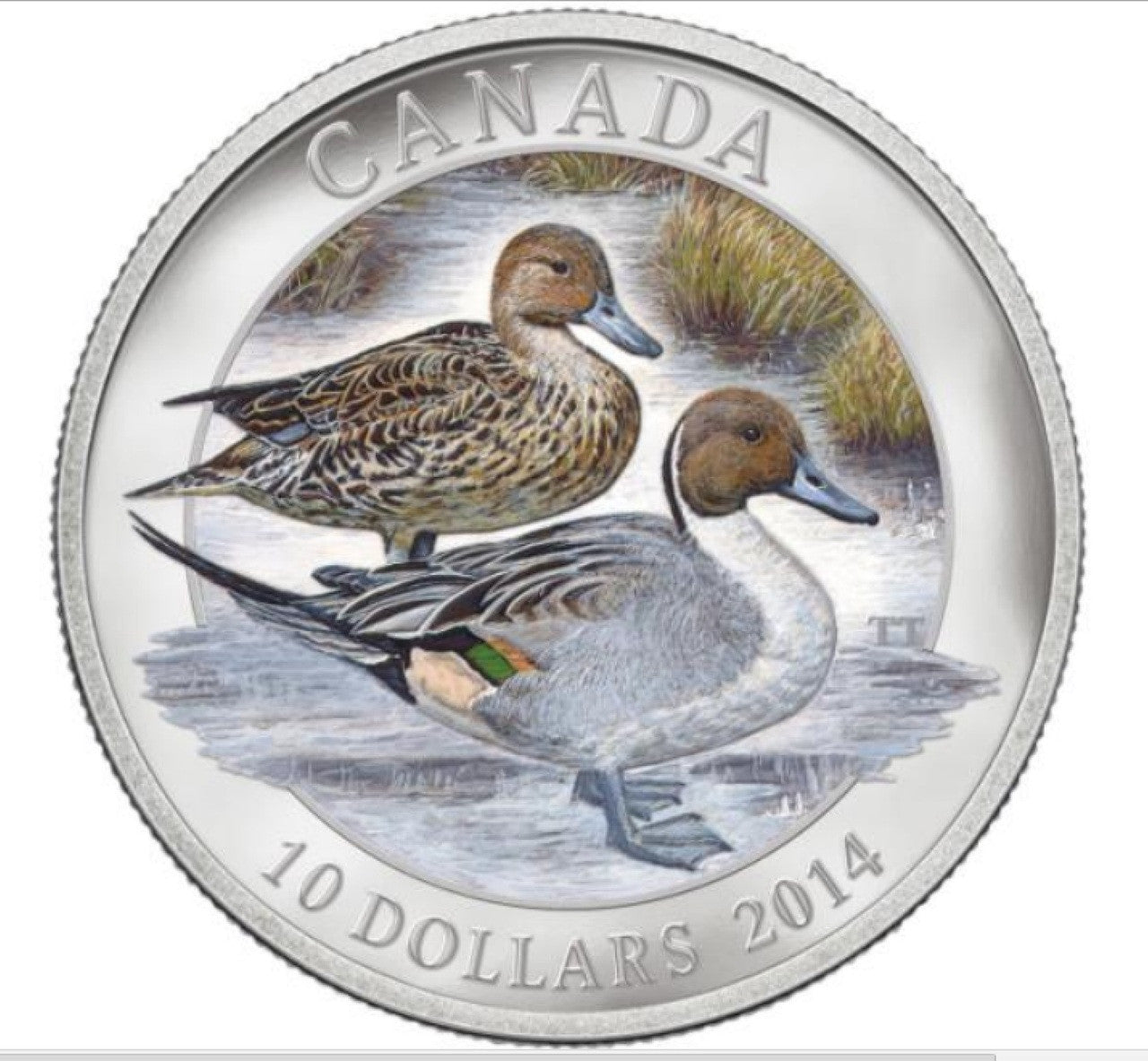 2014 1/2oz $10 NORTHERN PINTAIL (DUCK) FINE SILVER COIN