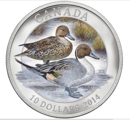 2014 1/2oz $10 NORTHERN PINTAIL (DUCK) FINE SILVER COIN