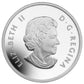 2014 1/2oz $10 SKATING IN CANADA FINE SILVER COIN