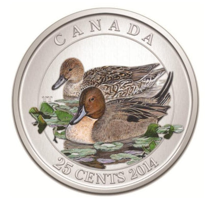 2014 25-CENT COLOURED COIN PINTAIL DUCK