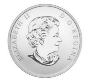 2014 25-CENT COLOURED COIN PINTAIL DUCK