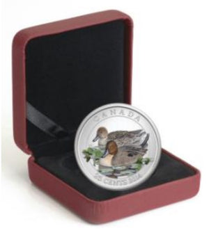 2014 25-CENT COLOURED COIN PINTAIL DUCK