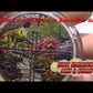 2017 2oz $30 GATE TO ENCHANTED GARDEN FINE SILVER COIN