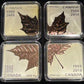 SALE - 2018 $3 MAPLE LEAF QUARTET - 30 YEARS (1988-2018) FINE SILVER COIN (TONING)